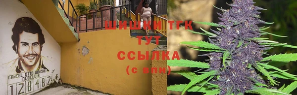 стафф Михайлов