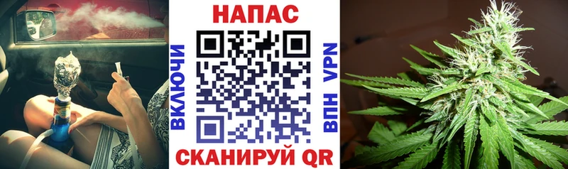 Конопля индика Геленджик